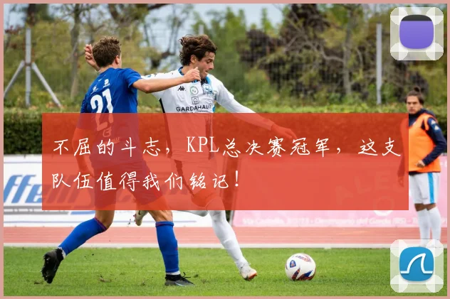 不屈的斗志，KPL总决赛冠军，这支队伍值得我们铭记！
