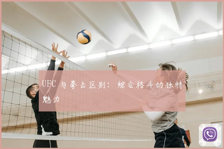 UFC 与拳击区别：综合格斗的独特魅力