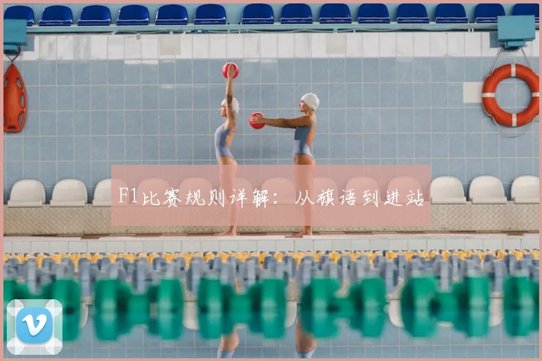F1比赛规则详解：从旗语到进站