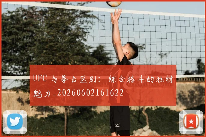 UFC 与拳击区别：综合格斗的独特魅力_20260602161622